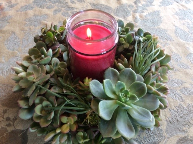 Create a succulent wreath for the holidays