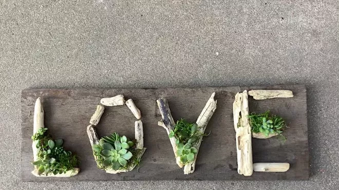 Image: Succulents and Driftwood