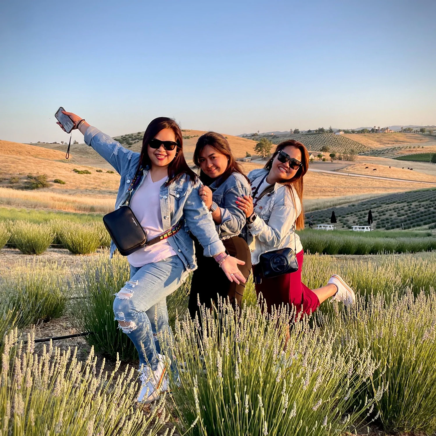 lavender-u-pick-hambly-farms-california.png