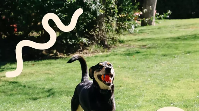 Image: Sycamore Dog Day with Novy&rsquo;s Ark
