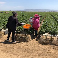 Family Service Agency to provide health support for Santa Barbara County farmworkers