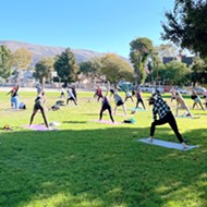 Fitness groups move their classes to city parks to keep businesses, communities healthy during pandemic