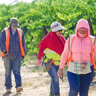 Labor contractors, advocacy organizations agree that the Farm Workforce Modernization Act is the right step forward&mdash;now it needs to pass the Senate