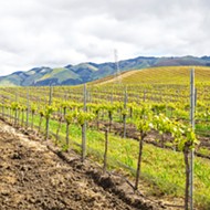 Wolff Vineyards follows the principles of people, planet, and prosperity for a holistic approach to sustainability