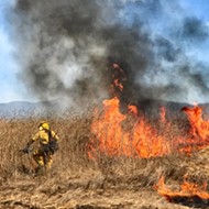 Preventing flames: A California Coastal Commission-approved project aims to protect Cambria from future fires