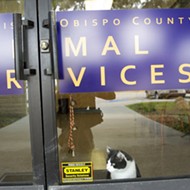 Nipomo residents cite owner irresponsibility as root of lost pet cases