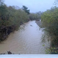 March storms deliver almost 9 inches of rain to Cambria