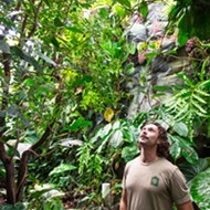 Stroll through the Cal Poly Plant Conservatory to experience a living museum of plants from around the world