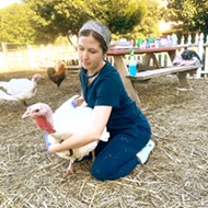 Farm to stable: SLO County animal lovers have more than dog- and cat-focused organizations to volunteer for