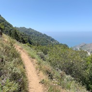 Los Padres releases plan to manage Big Sur's increased visitation