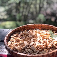 OUTDOOR KITCHEN: The acorn diet