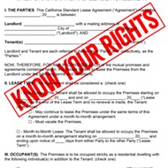 Renters, you have rights: A guide to your basic rights and helpful resources