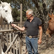 Lending a helping horse