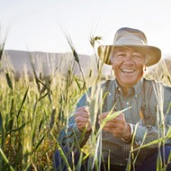 Ancient grains for modern times: Kandarian Organic Farms is growing grains, beans, and superseeds of the future