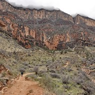 Canyon-land: More than a peek over the Grand Canyon's South Rim