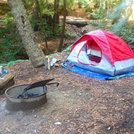 Relaxing in the redwoods:Camping at Big Sur's Ventana Campground