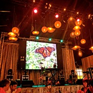 Butterfly Ball screens short films on monarch butterfly endangerment as kickoff to Wild and Scenic Film Festival