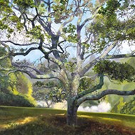 Adam Wolpert's SLOMA exhibit captures the iconic California oak with exceptional detail