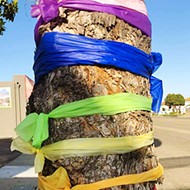 Ribbons on city-owned trees spark a debate in Grover Beach