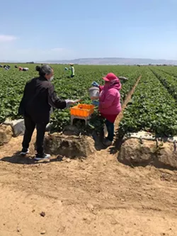 Family Service Agency to provide health support for Santa Barbara County farmworkers