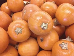 Santa Barbara County Public Health allows for modified Halloween activities