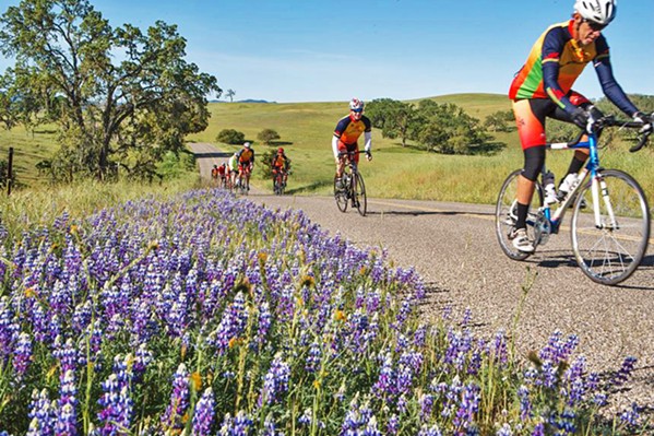 AROUND THE BEND Delayed due to COVID-19, the 12th annual Tour of Paso will take place on Nov. 1. - PHOTO COURTESY OF CANCER SUPPORT COMMUNITY CENTRAL COAST