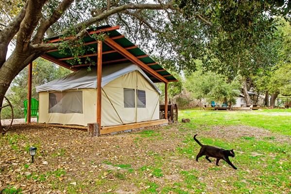 GLAMPING HEAVEN Branch Mill Organic Farms outside Arroyo Grande offers two tarp tent campsites, complete with beds, bathrooms, showers, and an outdoor kitchen. - PHOTO BY JAYSON MELLOM