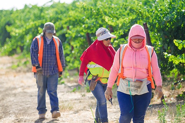 CREATING COMPROMISE The Farm Workforce Modernization Act, which passed the House of Representatives, aims to stabilize the ag labor force and update the current H-2A program. - FILE PHOTO BY JAYSON MELLOM