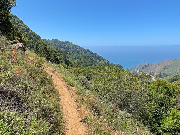 TAKE A HIKE Cal Poly students get cheap outdoor equipment rentals from Poly Escapes, and that gear can set you trekking along almost any trail in Big Sur for a day-trip or a night away from campus. - PHOTOS BY CAMILLIA LANHAM