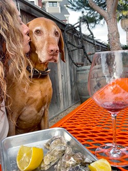 MATCH MADE IN HEAVEN Brette Ann Womack, consultant for sales and marketing at Sinor-LaVallee's tasting room in Avila Beach, and her 8-year-old vizsla, Brody, go together like Pacific Gold oysters and Sinor-LaVallee wine. "He's our mascot&mdash;more like everyone's dog," she says. - PHOTO COURTESY OF  SINOR-LAVALLEE