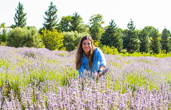 HOW SWEET IT IS Happy Saunders, ONX’s event and vineyard experience manager, gathers lavender from the winery’s 127-acre estate vineyard in Templeton. - COURTESY PHOTO BY TRINE BELL