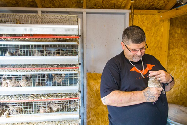 'TENDER HEART' An animal lover, Acerg Quail Farm manager Jeff said he grows attached to the birds and tames them while being involved in their growth process. - PHOTO BY JAYSON MELLOM