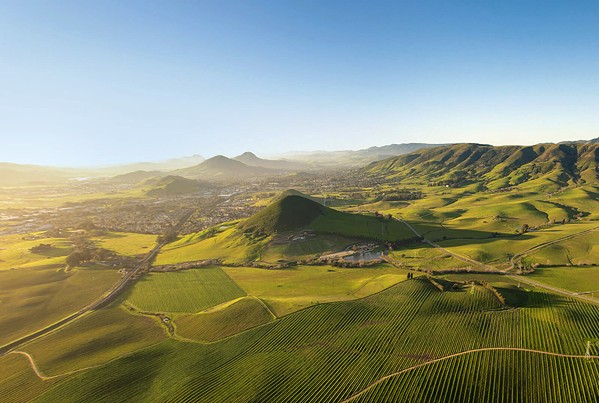 SPECTACULAR SIPS AND SCENERY The San Luis Obispo Coast American Viticultural Area, federally recognized in March, spans 5,000 planted acres from San Simeon to Nipomo. - PHOTO COURTESY OF SLO COAST WINE COLLECTIVE