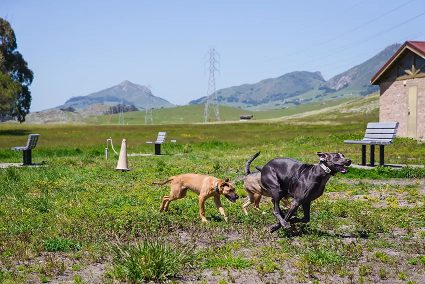 Best of SLO County 2023: Recreation