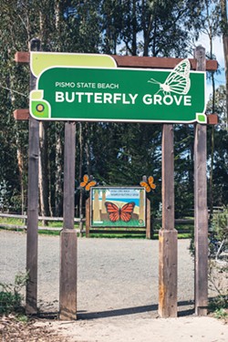 PISMO PROTECTION Through the Eyes of a Monarch features artistic takes on the journey of the Western monarch butterfly&mdash;one that often leads them to rest in spots like the Pismo State Beach Monarch Preserve. - PHOTO COURTESY OF CENTRAL COAST STATE PARKS ASSOCIATION