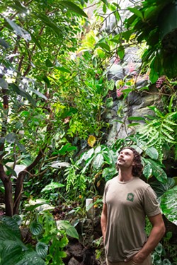 PASSION FOR PLANTS Gage Willey, the curator for the Cal Poly Plant Conservatory, admires plants in the Warm Tropics greenhouse&mdash;a space he monitors to ensure the right range of temperature and humidity. - PHOTO BY JAYSON MELLOM