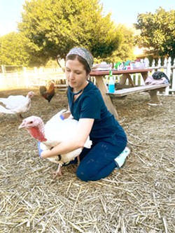 HEALTH CHECK Happy Hen Sanctuary volunteer and veterinary student Rhiannon Ferriday does an annual checkup on one of the ranch's turkeys. - PHOTO COURTESY BY SHERSTIN ROSENBERG