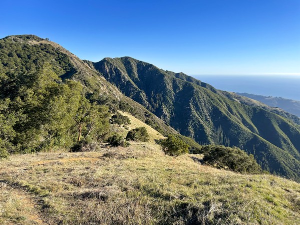 This wildfire mitigation project on Mount Manuel near Pfeiffer Big Sur State Park is a strategic community fuel break. - PHOTO COURTESY OF LOS PADRES FOREST SERVICE