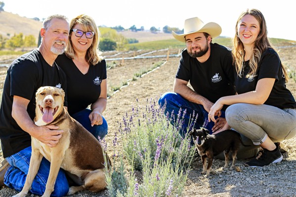 FRESHLY PICKED Hambly Farms owners Milton and Gina Hambly (left), pictured with their daughter Mary and son-in-law Conner Stanton, offer customers the ability to hand pick fresh lavender on their San Miguel farm from late spring through summer. - COURTESY PHOTO BY JOANN HYATT