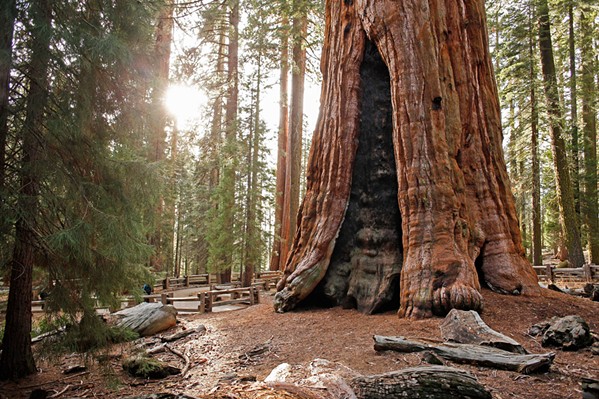 PHOTO COURTESY OF NPS/KEIL MADDOOX