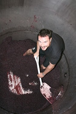 WINO&rsquo;S PARADISE :  The author climbed into a barrel of Cabernet Sauvignon grapes at Silver Horse Winery in Paso Robles, where he helped out&mdash;purely for research. - PHOTO BY STEVE KROENER