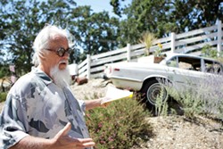 JAGGED AROUND :  Bob Finley says he&rsquo;s got more in store for County Code Officials if they continue to insist his 1971 Jaguar, which he calls yard art, is a commercial sign. - PHOTO BY STEVE E. MILLER