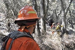 ON THE FRONT LINES:  Inmate firefighters go about their physically demanding work side-by-side with civilian firefighters as part of a joint Cal Fire and California Department of Corrections and Rehabilitation program. - PHOTO BY CAMILLIA LANHAM
