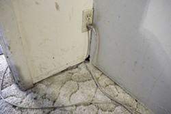 RATS :  Leaking ceilings aren&rsquo;t the only problem for one local family stuck in a rundown rental home. The rain also drives rats to gnaw through the walls. - PHOTO BY STEVE E. MILLER