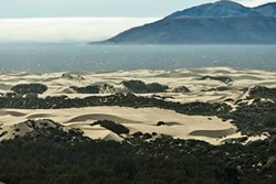 DUNE DUSTUP:  After years of unfruitful squabbling over regulation of the OHV riding area of the Oceano Dunes, stakeholders on different sides of the issue are moving toward change with a lawsuit and dust control measures. - FILE PHOTO BY STEVE E MILLER