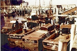 BYGONE DAYS:  A fleet of black-and-red boats based in Morro Bay carried a plentiful abalone harvest five decades ago. - PHOTO COURTESY OF STEVE REBUCK