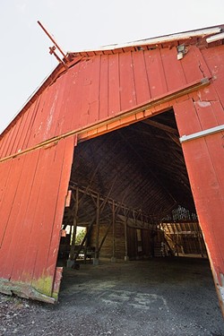 BIG RED:  The planned demolition and replacement of the dilapidated dairy barn at Pasolivo is part of a bigger issue over a new permit sought by the company. - PHOTO BY KAORI FUNAHASHI