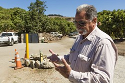 MAN WITH A PLAN:  General Manager at Morro Creek Ranch, Alan Cavaletto, discusses his plan to cut water usage by stumping the majority of their avocado trees. - PHOTO BY HENRY BRUINGTON