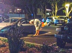 WINNER WINNER CHICKEN DINNER:  Out of the shadows of Heritage Oaks Bank, a man emerged in a chicken costume carrying some balloons. Just your average Friday night. - PHOTO BY JESSICA PE&Ntilde;A