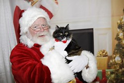 MEOWY CHRISTMAS:  Two years ago Cat Cat sat on Santa&rsquo;s lap at Woods Humane Society and requested a lifetime supply of catnip for Christmas. - PHOTO COURTESY OF ASHLEY SCHWELLENBACH